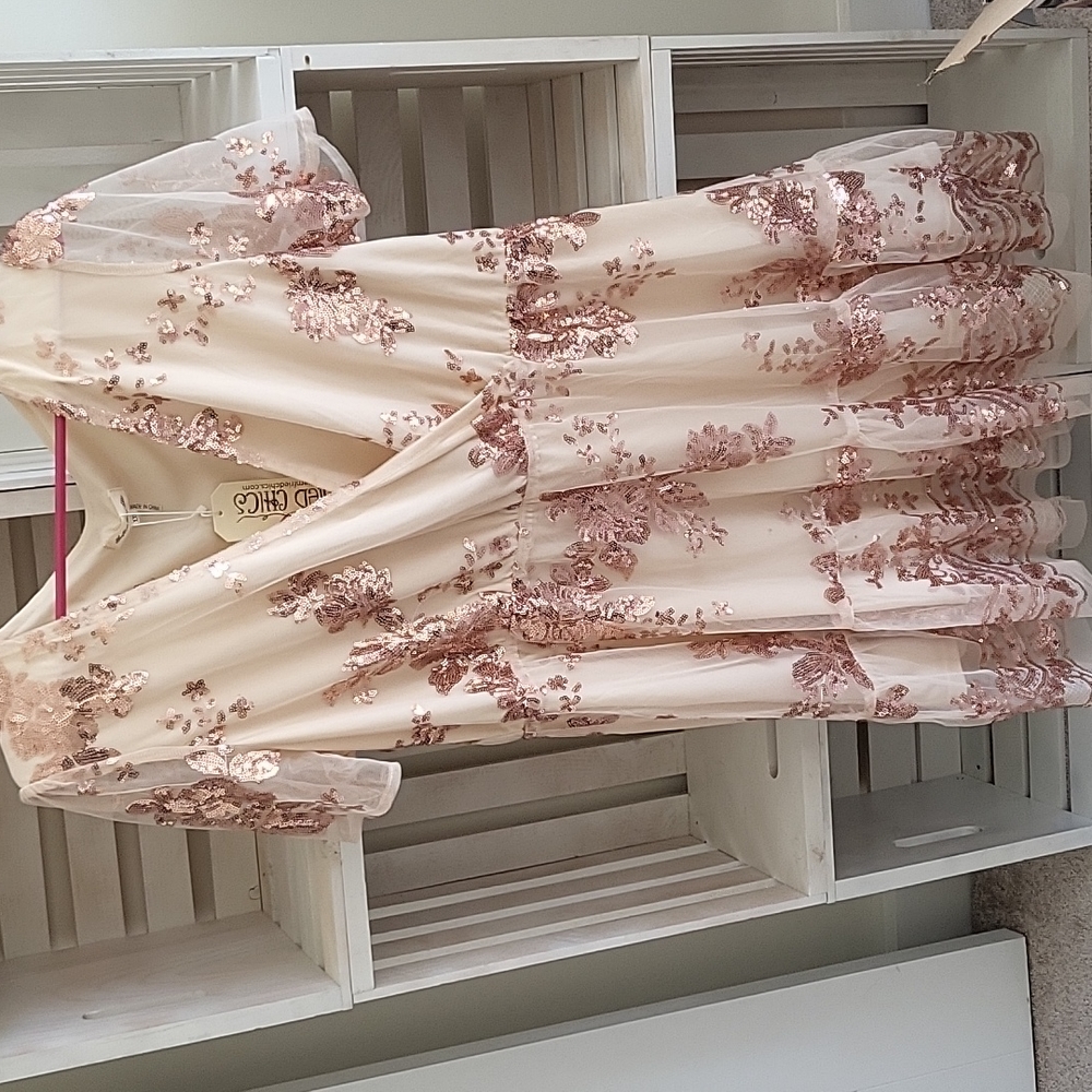 Southern Fried Chick's sequin dress